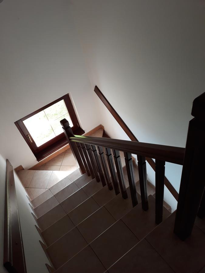 Apartments Markoni Zlatibor Buitenkant foto
